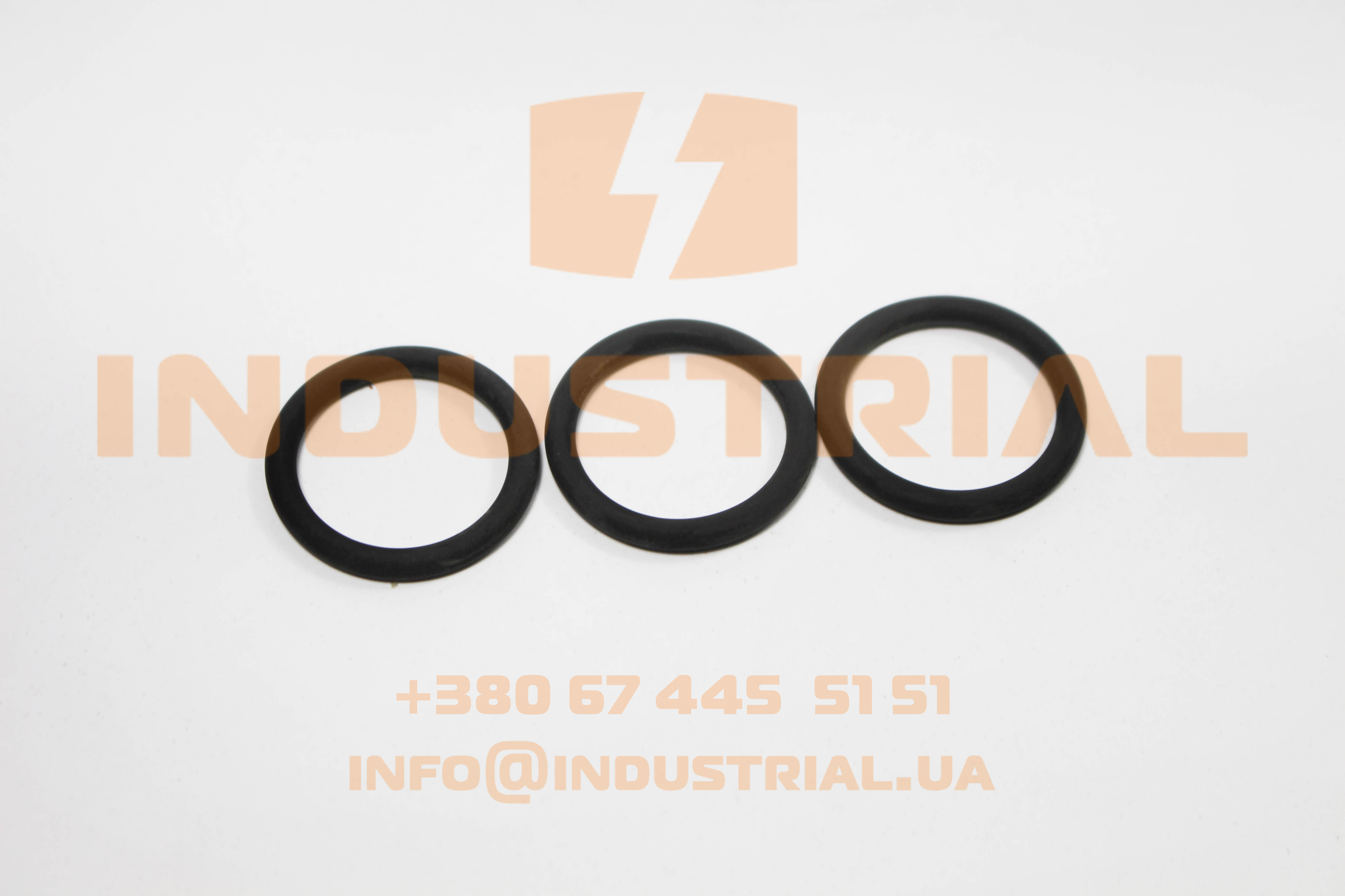 ZFP 2995836 ZF